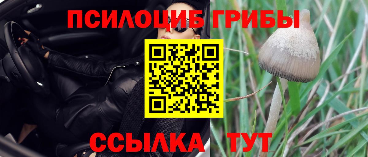 Галлюциногенные грибы мухоморы  Вход с VPN  купить наркоту  Тула 